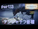 【独り言実況】ゲーム内方向音痴が喘ぐ？モンハンアイスボーン【Part13】