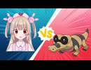 【ポケモンBW】メグロコと砂試合を繰り広げる名取さな【名取さな／切り抜き】
