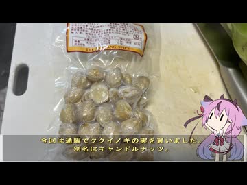 珍食材が食べたい！#197 ククイノキのピラフ
