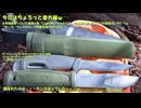 (久々の番外編的な？ｗ）変態忍者の、有害鳥獣駆除従事活動記・その３０４