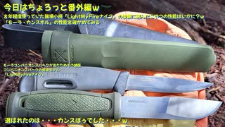 (久々の番外編的な？ｗ）変態忍者の、有害鳥獣駆除従事活動記・その３０４