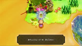 【ゼルダの伝説 知恵のかりもの】ニセモノの夜に、月はカガヤクのか。【part11】