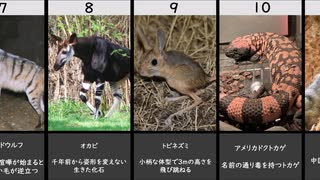 奇妙な形をした動物たち　1～20