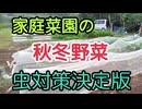家庭菜園の秋冬野菜虫対策決定版