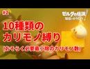 10種類のカリモノ縛り(おそらく必要最小限のカリモノ数) #2【ゼルダの伝説 知恵のかりもの】