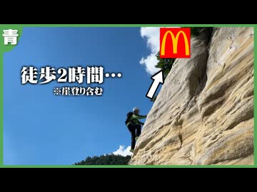 マックが近所にある人はこの動画を見て都会の有難みを感じてください【マクドナルド再現企画】
