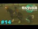 【ゆっくり実況】ティアキンぜんぶやる #14