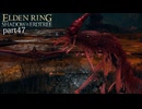 【ELDEN RING Shadow of the Erdtree】発売日から全ボスを倒すまで【実況】 part47