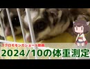 【 #フクロモモンガ 】2024年10月の体重測定！病気・糖尿病にならないためにも大切！【 #おはモモンガ 】