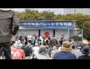 VID_20240928_131702　#この映画カメラマン５万人　国民集会パレードデモ有明34