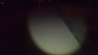 鹿の鳴き声＆しかのこのこのここしたんたん