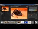 How to Use White Balance
