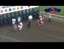【アメリカ】マスコットキャラクターダービー