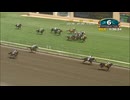 【アメリカの競馬】芝 vs ダート
