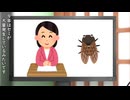 ふぃーちゃん。