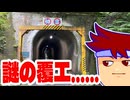 カメ編。【バーチャルいいゲーマー佳作選】