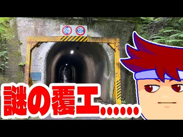 カメ編。【バーチャルいいゲーマー佳作選】