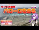 【日帰り旅行祭2024】ワインの聖地 バローロを巡る【VOICEVOX】