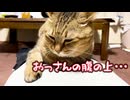 朝晩 肌寒くなってきました