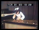 日本のテレビ放送開始を報じる英BBCニュース マリンバ奏者：高橋美智子 1953年（昭和28年） AIカラー化