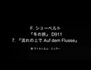 【対訳歌詞動画】F. シューベルト、D 911-07 『流れの上で Auf dem Flusse』
