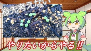 【VOICEVOX雑談】素人が思い付きで家庭菜園やってみた Part1