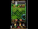 ホルカ×トルカ【最高MAX100枚BET】part20