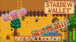 社畜に遂に畑ができました　【Stardew Valley】#２