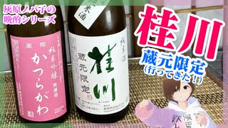 【日本酒】桂川 蔵元限定【チャリで来た！】