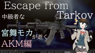 中級者な宮舞が逝く Part4 AKM編