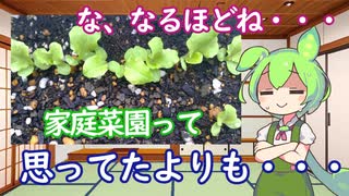 【VOICEVOX雑談】素人が思い付きで家庭菜園やってみた Part2