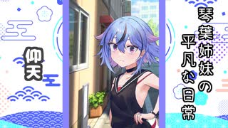 琴葉姉妹の平凡な日常 099『白猫逃走劇⑨』【VOICEROID劇場】
