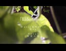 Elderflower / 歌愛ユキ