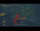 エルデンリング TMCターニッシュドメイクライ侵入Part 197