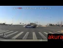 現場猫とみる 交通事故や事故6