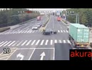 現場猫とみる 交通事故や事故7