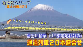 【橋探訪（富士川編）#01】富士川橋梁（JR東海道新幹線）通過列車20本盛合せ～ドクターイエローを添えて～