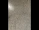 75024061167__561E98ED-1845-4B20-9174-2ADECE5BC0EA