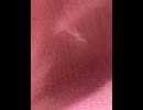 75024122465__C70547EF-E067-452E-B764-188BE9DB6081