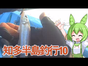 【シロギス】知多半島釣行10【船釣り】