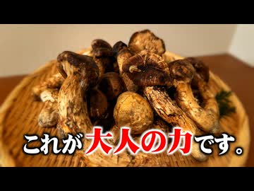 【1kg】国産の最高級マツタケを"大人買い"してみた！