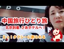 中国一人旅10日間＝＝＝第1日目、北京到着⇒高速鉄道、地下鉄⇒タクシー。中国は本人確認が多かった！＝＝タクシーで断わられる！！さてどうなる？