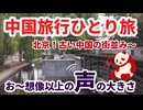 中国一人旅10日間＝＝＝第２日目、胡同街（北京の旧市街地後の観光地）を歩く、中国はタクシーがめっちゃ沢山走っているそして安い＝＝中国の北の人の声は想像の2倍超とても大きい。凄く賑やかです