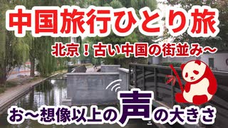 中国一人旅10日間＝＝＝第２日目、胡同街（北京の旧市街地後の観光地）を歩く、中国はタクシーがめっちゃ沢山走っているそして安い＝＝中国の北の人の声は想像の2倍超とても大きい。凄く賑やかです