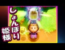厄災の姫君　part7【ゼルダの伝説 知恵の借りもの 実況プレイ】