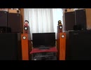 Moonchild / King Crimson (MD) スピーカー MarkAudio 8cmフルレンジ CHN50Pmica