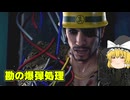 とりあえず投げたい霊夢の龍が如く極2実況part28
