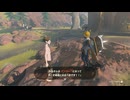 ゼルダの伝説　ティアーズ オブ ザ キングダム　実況プレイPart157