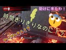 dbd　セーブルさん！？