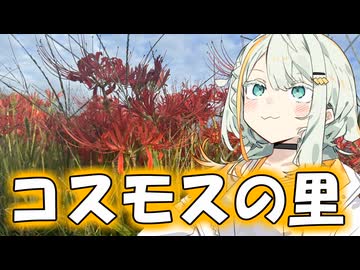 【日帰り旅行祭】隣町のコスモス！！【紡乃世詞音の植物と一緒】